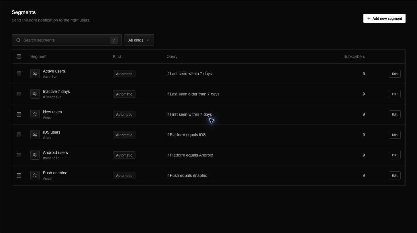 The Segments page lists automatic audiences, their conditions, and the current matching subscriber count.